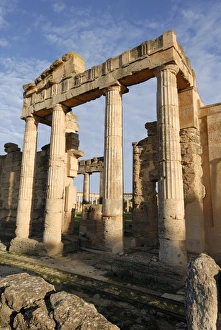 Cyrene Prints: Entrance to gymnasium