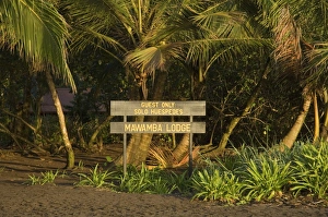 Tortuguero Prints: Entrance to Mawamba Eco Lodge from Tortuguero Beach