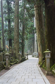 Images Dated 11th November 2007: Entrance Path (Sando)