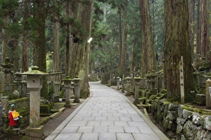 Images Dated 11th November 2007: Entrance Path (Sando)