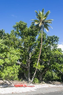 Vanuatu Prints: Epi Island, Shepherd Islands, Vanuatu, Pacific