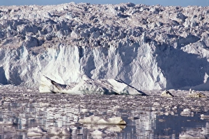 Glaciology Prints: Eqip Glacier
