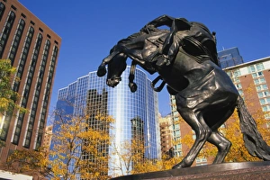 Missouri Prints: Equestrian statue