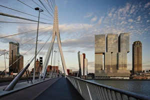 Traditionally Dutch Prints: Erasmus Bridge and De Rotterdam, Wilhelminakade, Rotterdam, Netherlands, Europe