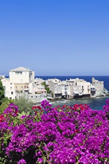 Erbalunga, Corsica, France, Mediterranean, Europe