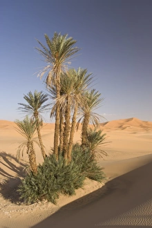 Erg Chebbi Prints: Erg Chebbi