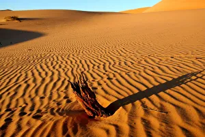 Ripples Prints: Erg Ubari desert, Ubari, Libya, North Africa, Africa