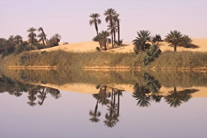 In the erg of Ubari, the Umm-el Ma (Mother of the Waters) Lake, Libya, North Africa