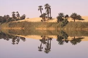 Images Dated 28th January 2010: In the erg of Ubari, the Umm-el Ma (Mother of the Waters) Lake, Libya, North Africa