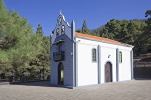 La Palma Prints: Ermita Virgen del Pino chapel, Canary Pine, near El Paso, La Palma, Canary Islands