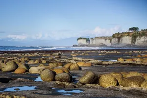 Eroded Prints: Eroded coastal formations at low tide reveal unique rock patterns and pools along the shoreline in New Zealand