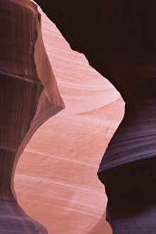Images Dated 19th November 2007: Eroded curves in sandstone, Upper Antelope Canyon, near Page, Arizona, United States of America