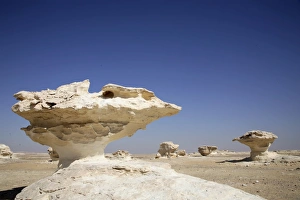 White Desert Prints: Eroded rock formations in the White Desert, Egypt, North Africa, Africa