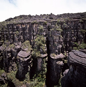 Venezuela Prints: Eroded sedimentary sandstone near the Great Crack, Summit of Mount Kukenaam