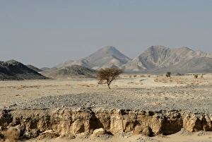 Arid Landscape Prints: Erosion, Nubian Desert