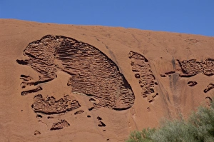 Eroded Prints: Erosion pattern, Uluru (Ayers Rock), UNESCO World heritage Site, Northern Territory