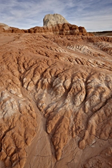 Sand Stone Prints: Erosion patterns in red-rock soil