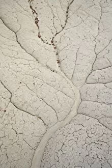 Images Dated 17th March 2009: Erosion patterns in a small drainage, Bisti Wilderness, New Mexico, United States of America