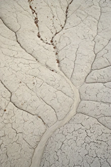 Abstract: Erosion patterns in a small drainage, Bisti Wilderness, New Mexico, United States of America