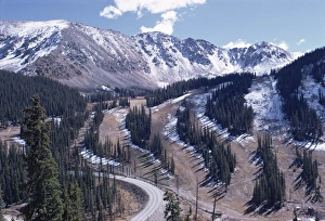 Forestry Prints: Erosion prevention