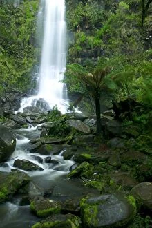 Erskine Falls, waterfall in the rainforest, Great Ocean Road, South Australia