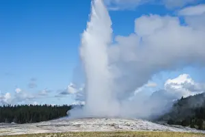 Mineral Prints: Erupting Old Faithful Geyser, Yellowstone National Park