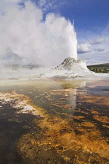 Images Dated 8th June 2007: Eruption of Castle Geyser with thermophilic bacterica mats in foreground