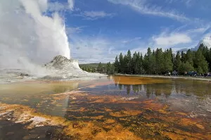 Images Dated 8th June 2007: Eruption of Castle Geyser, Upper Geyser Basin, Yellowstone National Park