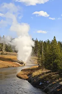 Geyser Prints: Eruption of Riverside Geyser seen from Firehole River bridge