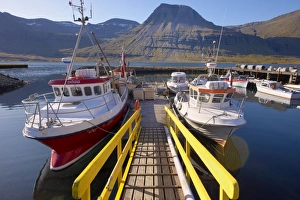 Images Dated 12th September 2009: Eskifjordur village, Eskifjordur fjord, East Fjords region (Austurland)