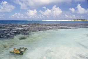 Espenqui, Los Roques