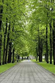 Riga Prints: Esplanade, green park near the Russian Orthodox Cathedral