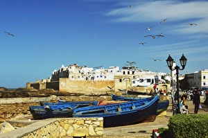Lamp Post Prints: Essaouira, Atlantic Coast, Morocco, North Africa, Africa