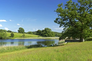 Meadow Prints: Esthwaite Water, Lake District National Park, Cumbria, England, United Kingdom, Europe