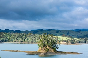 Estuary near Snells Beach, Auckland Region, North Island, New Zealand, Pacific