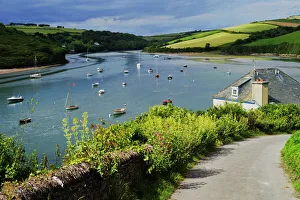 Pla Nts Prints: Estuary of the River Avon, Bantham, Bigbury on Sea, Devon, England, United Kingdom