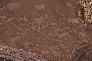 Damaraland Prints: Etchings on sandstone