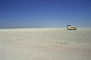 Salt Flat Prints: Etosha Salt Pan