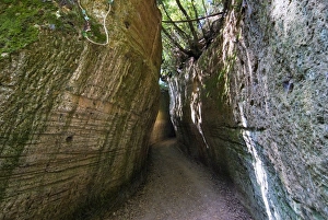 Images Dated 14th August 2008: Etruscan Hollow Road of Poggio Prisca, Etruscan Necropolis of Sovana, Sovana