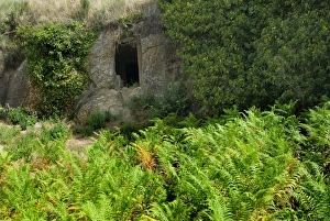 Images Dated 7th September 2008: Etruscan tomb, Etruscan necropolis of San Potente, Tuscania, Viterbo, Latium