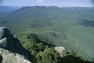 Haze Prints: Eucalyptus oil haze causes the blueness above the dense gum tree forest in the Jamison Valley in the Blue Mountains