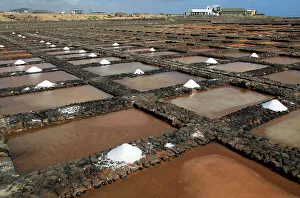 Seashore Prints: Evaporation of sea water in salt pans