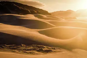 Dunes Prints: Evening Light Casting Long Shadows on Sculpted Sand Dunes at Wharariki Beach