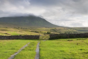 Images Dated 1st September 2008: Evening light at Ingleborough Mountain, Ingleborough National Nature Reserve, Yorkshire Dales