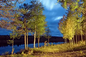 Finland Prints: Evening light by the Kemijoki River in Savukoski