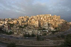Evening light over old city