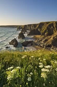 Images Dated 15th June 2009: Evening light on the rock stacks, beach and rugged coastline at Bedruthan Steps
