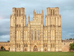 Lawn Collection: Evening light on the West Front, Wells Cathedral, Wells, Somerset, England, United Kingdom, Europe
