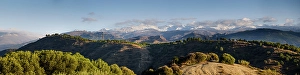 Albaicin Prints: Evening panorama over olive trees in the hills of Albaicin