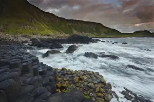 An evening view of the Giants Causeway, UNESCO World Heritage Site, County Antrim